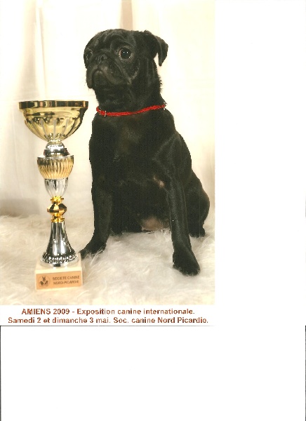 Diem hanh De la bacska - Très Prometteur