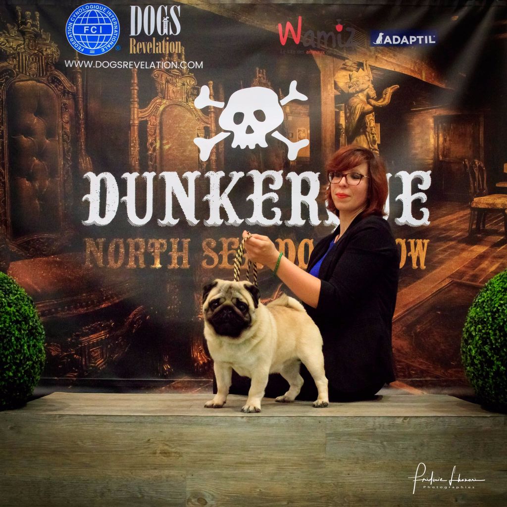 CH. seloy Heathcliff - 1er Excellent + RCACS