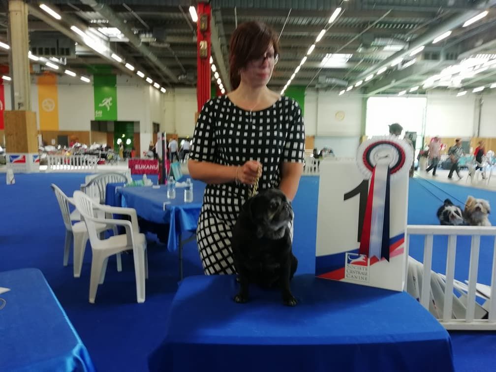 Diem hanh De la bacska - 1er Excellent + Championne Vétéran de France