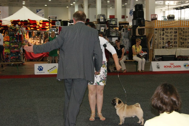 CH. seloy Heathcliff - 3e Très Bon