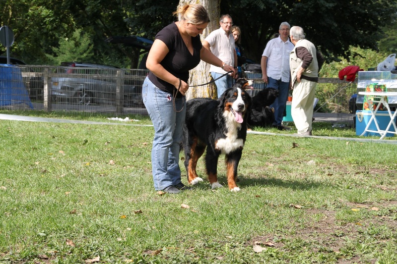 Eragone D'Ainhoa - 1ere EXCELLENT
