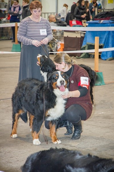 Eragone D'Ainhoa - 2eme TRES BON