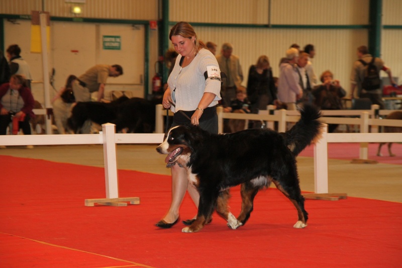 Eragone D'Ainhoa - 1ere EXCELLENT