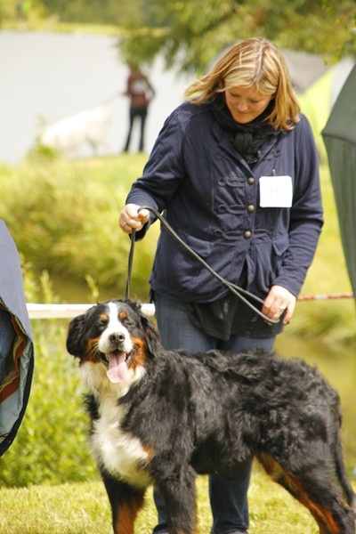 Eragone D'Ainhoa - 3eme TRES BON