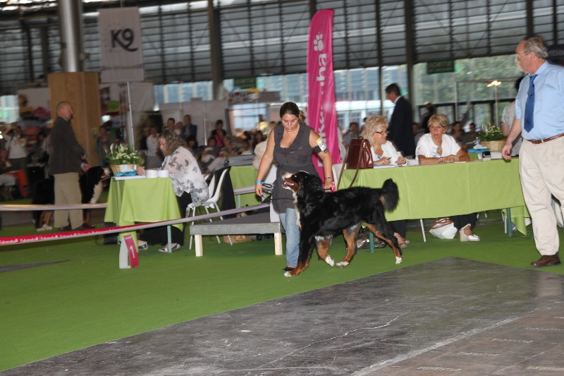 Eragone D'Ainhoa - TRES BON