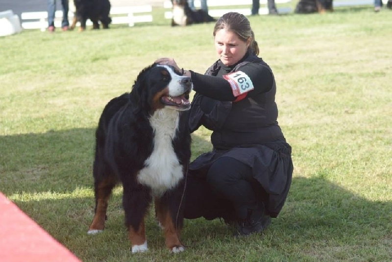 Eragone D'Ainhoa - TRÈS BON