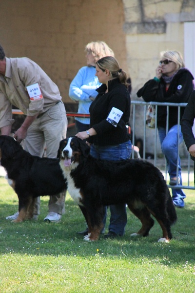 Eragone D'Ainhoa - TRES BON