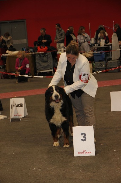 Eragone D'Ainhoa - 3eme EXCELLENT