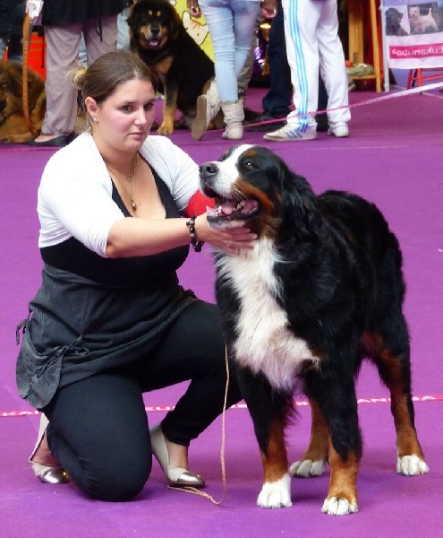 Eragone D'Ainhoa - 4eme EXCELLENT