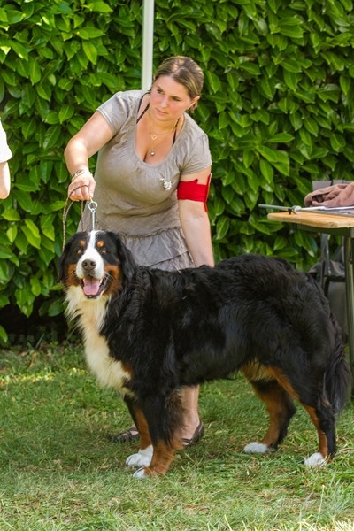 Eragone D'Ainhoa - 1ere EXCELLENT