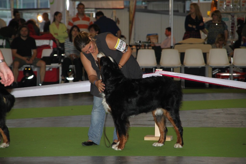 Eragone D'Ainhoa - 1ere EXCELLENT + CACS