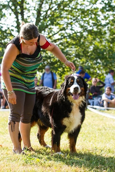 Eragone D'Ainhoa - 1ere EXCELLENTE CACS