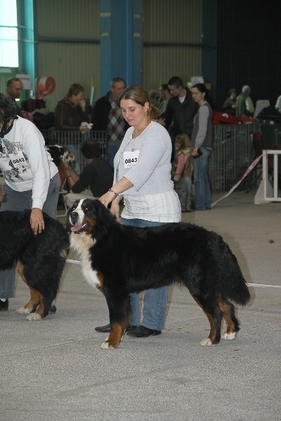 Eragone D'Ainhoa - TRES BON