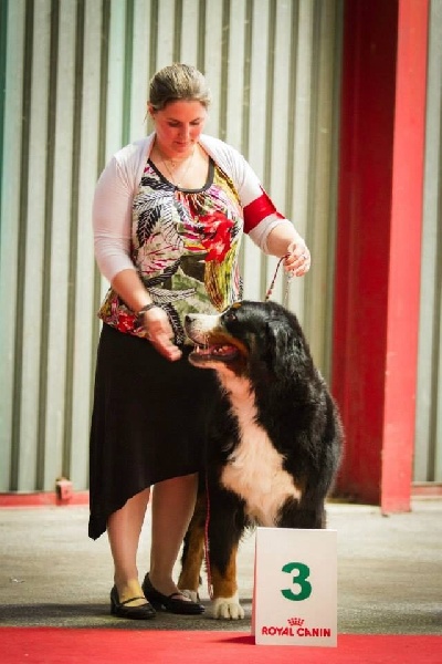 Eragone D'Ainhoa - 3ème EXCELLENT