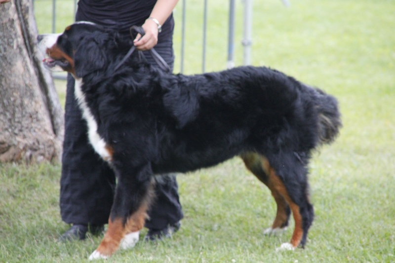 Eragone D'Ainhoa - 2eme EXCELLENT