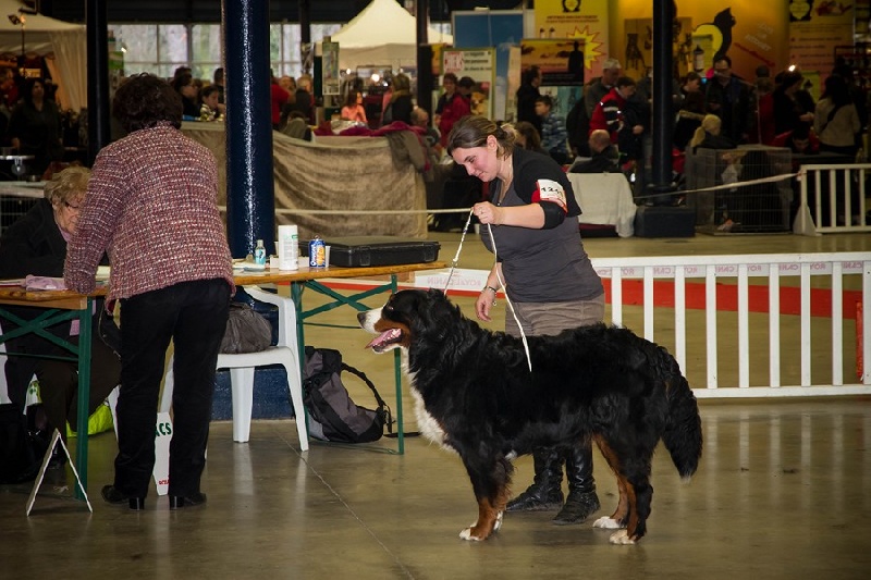 Eragone D'Ainhoa - 3eme EXCELLENT