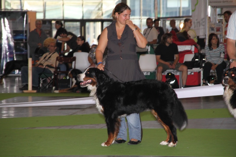 Eragone D'Ainhoa - TRES BON