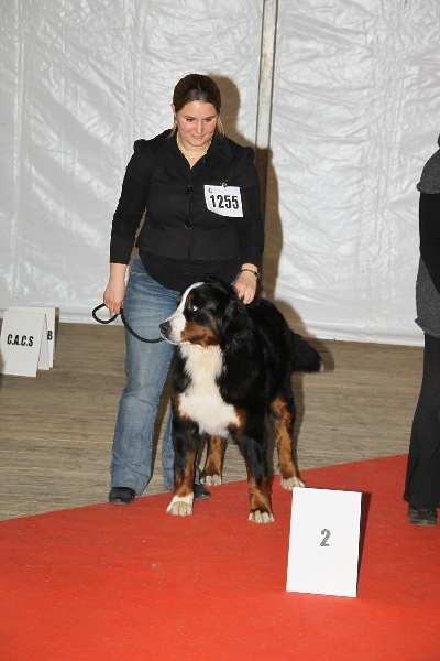 Eragone D'Ainhoa - 2eme EXCELLENT + confirmation