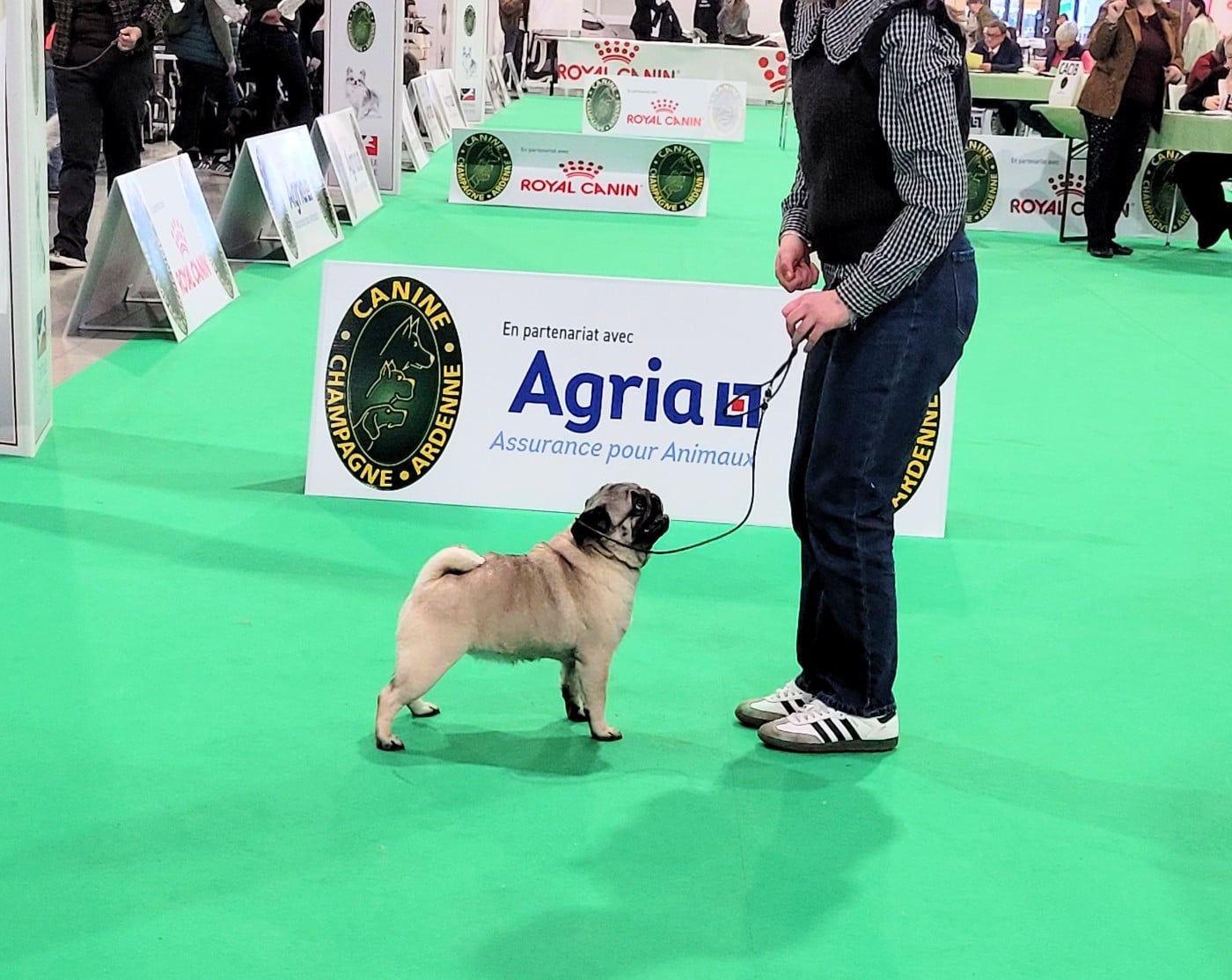 rus kartel Jacqueline