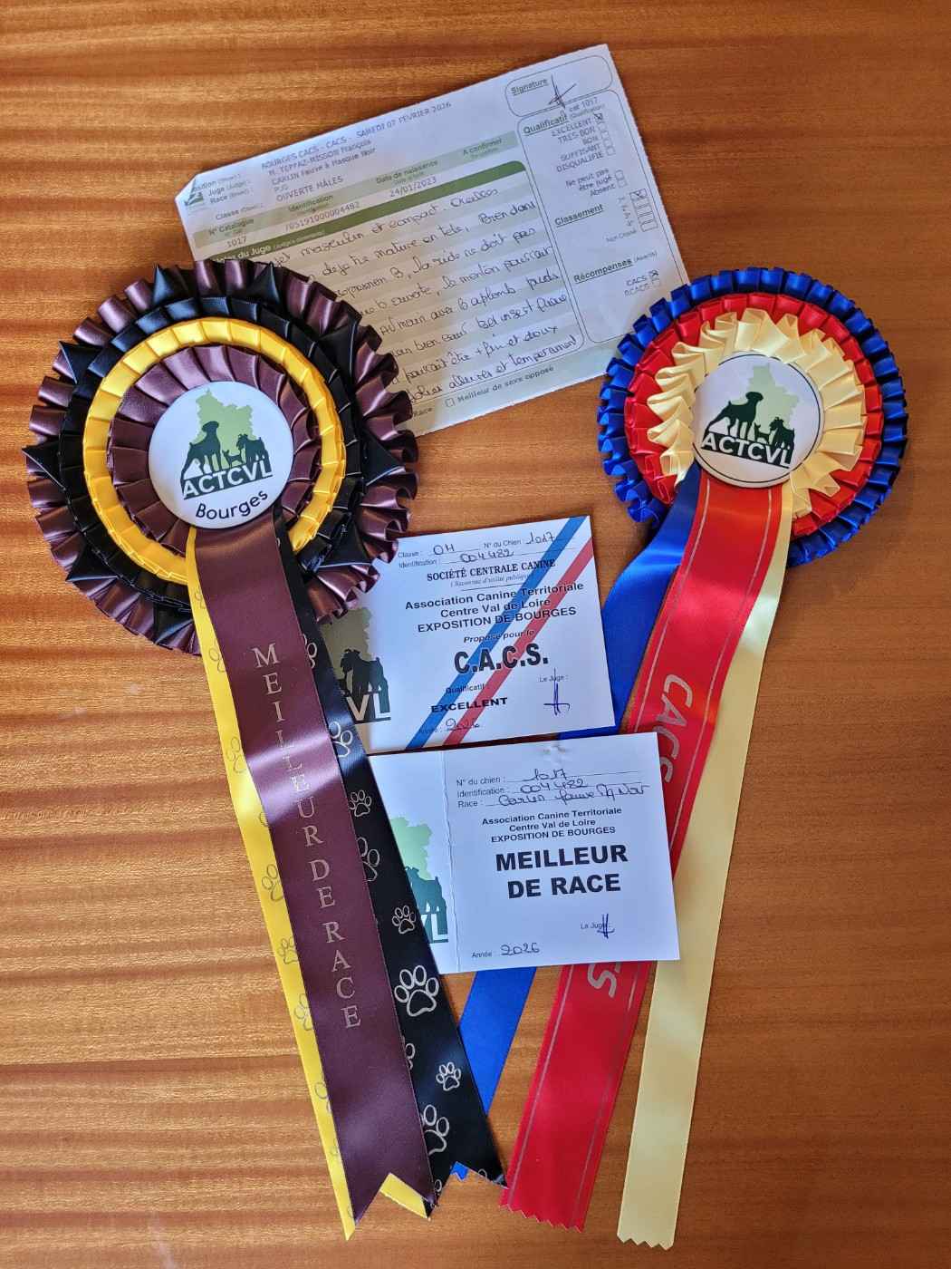 you rang milord Mr.twelvetrees aka james - 1ère EXCELLENT CACS & BEST OF BREED