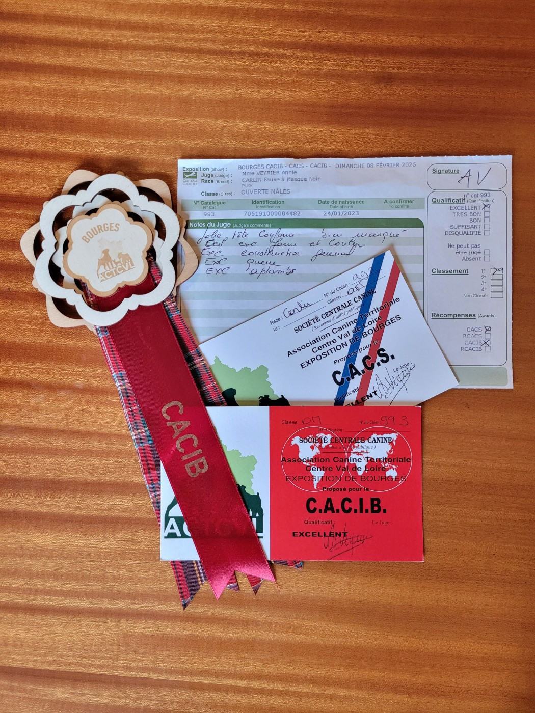 you rang milord Mr.twelvetrees aka james - 1er EXCELLENT CACS / CACIB & BEST OF SEX