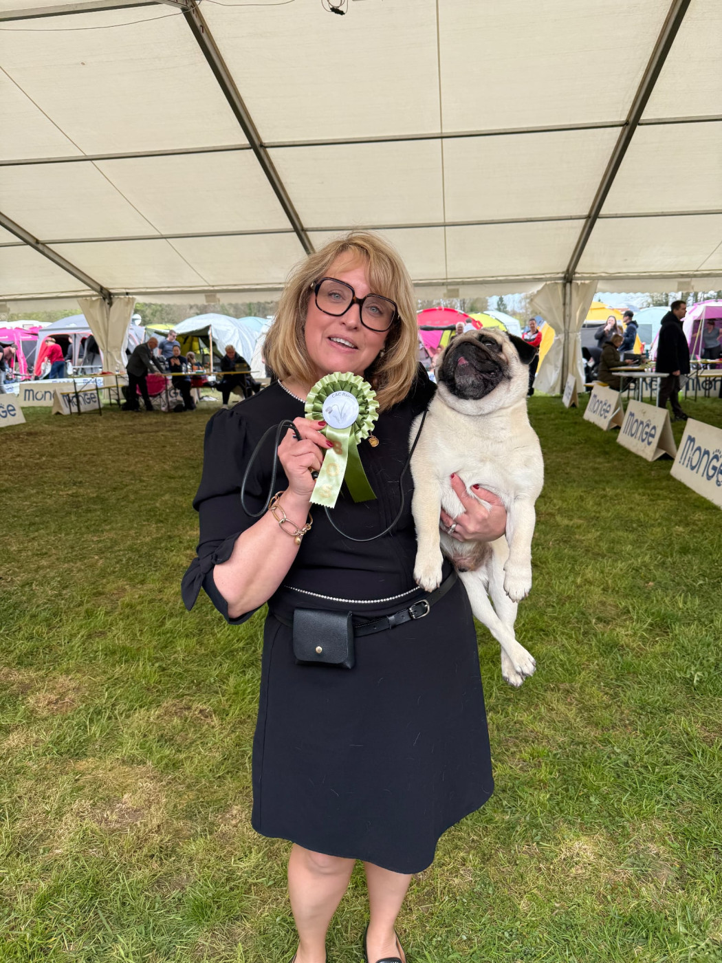 CH. you rang milord Mr.twelvetrees aka james - 1st EXCELLENT CAC / BARJE WINNER & BEST OF BREED