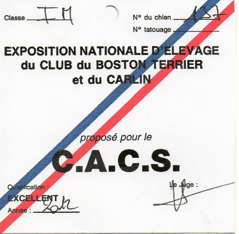 CH. montes auri Zhofrey de peyrak - 1er EXCELLENT CACS de la N.E