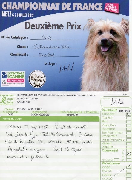 CH. montes auri Zhofrey de peyrak - 2ème EXCELLENT