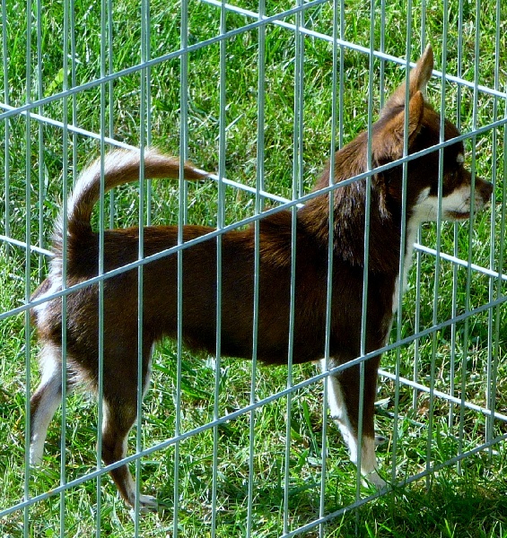 Publication : du bois de noise