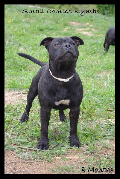 Publication : Spirit Of Liberty Auteur : Spirit Of Liberty