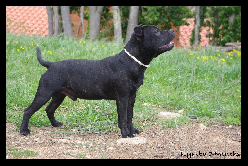 Publication : Spirit Of Liberty Auteur : Spirit Of Liberty