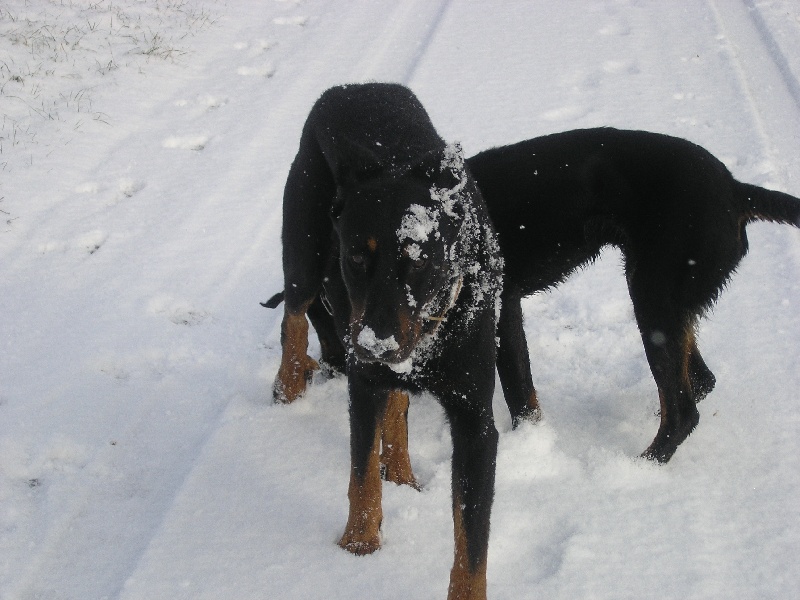 Ulkig vom Kathrinenhof