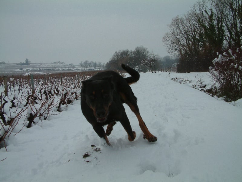 Ulkig vom Kathrinenhof