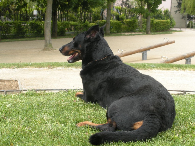 Ulkig vom Kathrinenhof