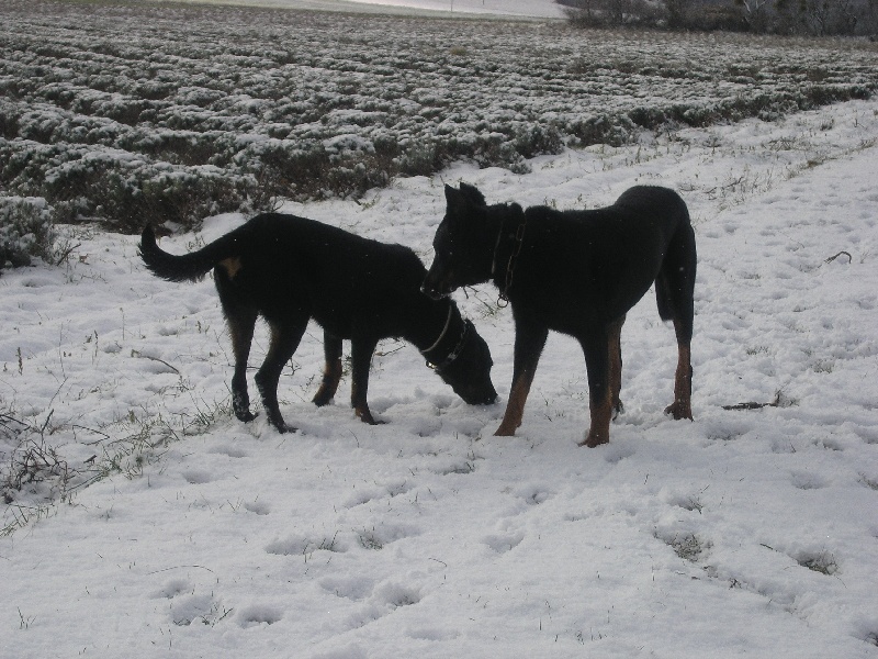 Ulkig vom Kathrinenhof