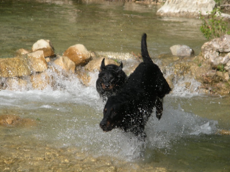 Ulkig vom Kathrinenhof