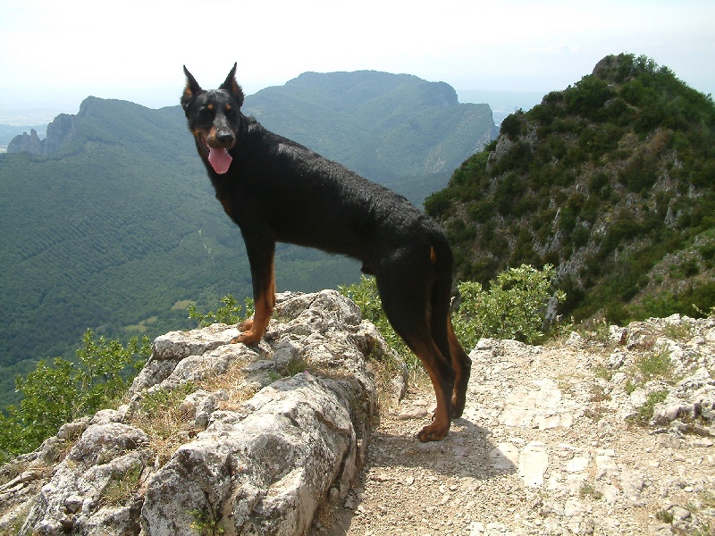 Ulkig vom Kathrinenhof