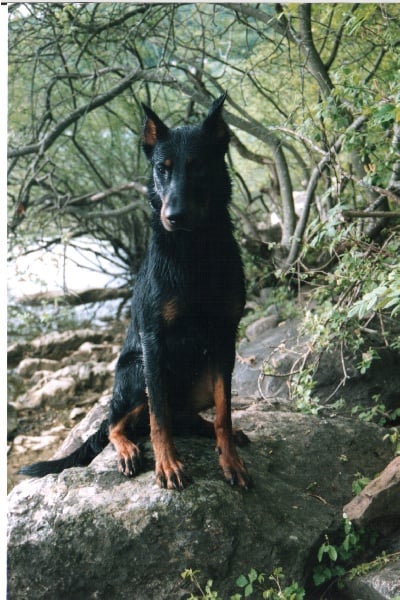 Ulkig vom Kathrinenhof