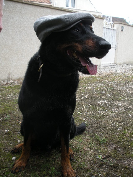 Ulkig vom Kathrinenhof