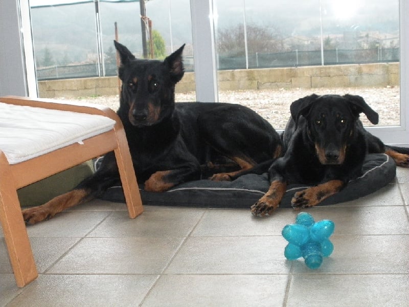 Ulkig vom Kathrinenhof