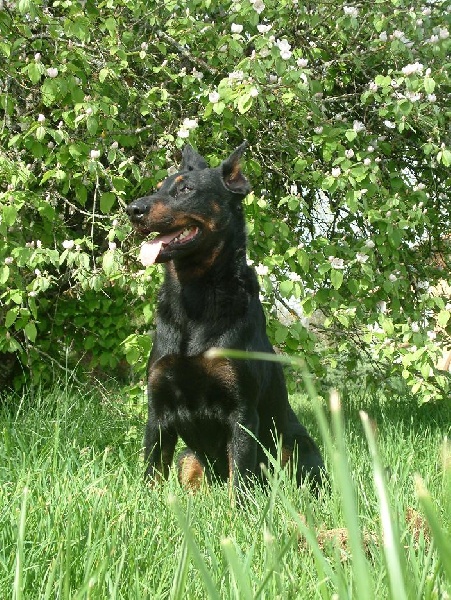 Ulkig vom Kathrinenhof