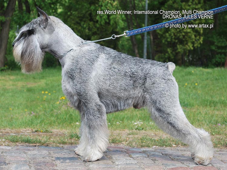 Publication : artax's angels Auteur : A.Wasiak