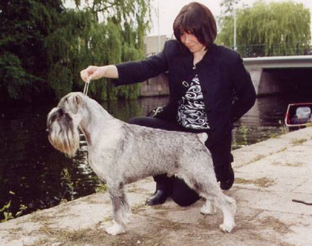 Publication : des Xarmanki de Faldaracon