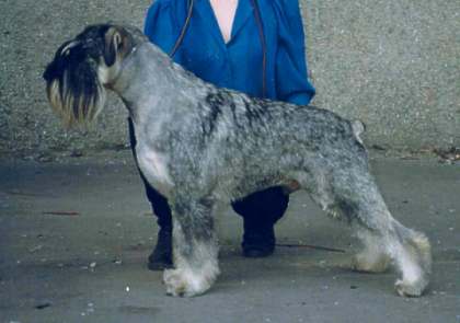 Publication : des Xarmanki de Faldaracon