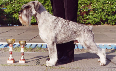 Publication : des Xarmanki de Faldaracon