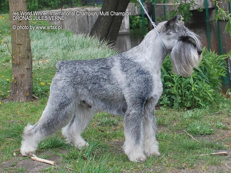 Publication : artax's angels Auteur : A.Wasiak