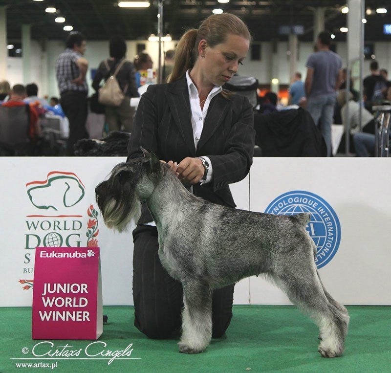 Publication : artax's angels