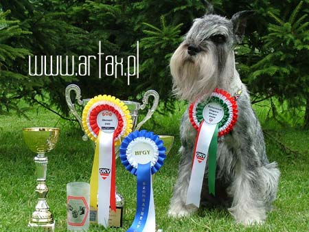 Publication : artax's angels Auteur : A.Wasiak