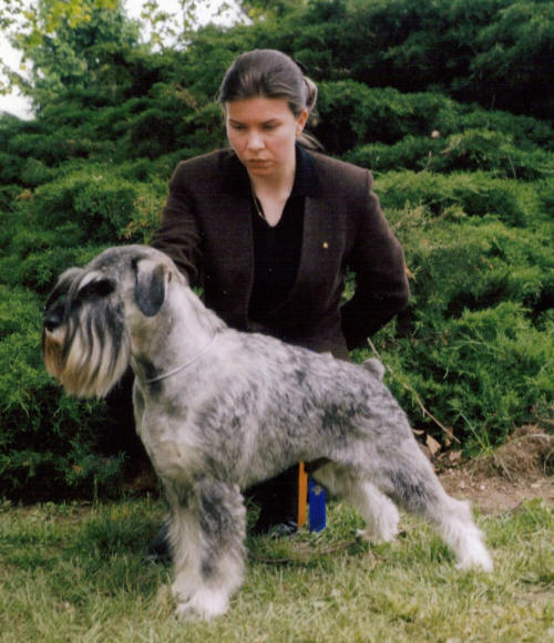 Publication : des Xarmanki de Faldaracon