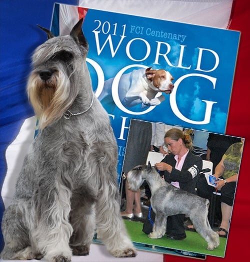 CH. dronas Jules verne - exc.1, CACA, RCACIB